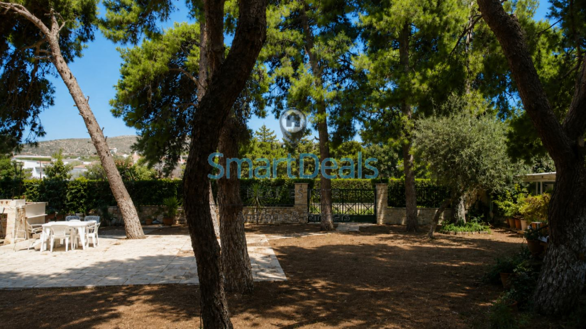property-img